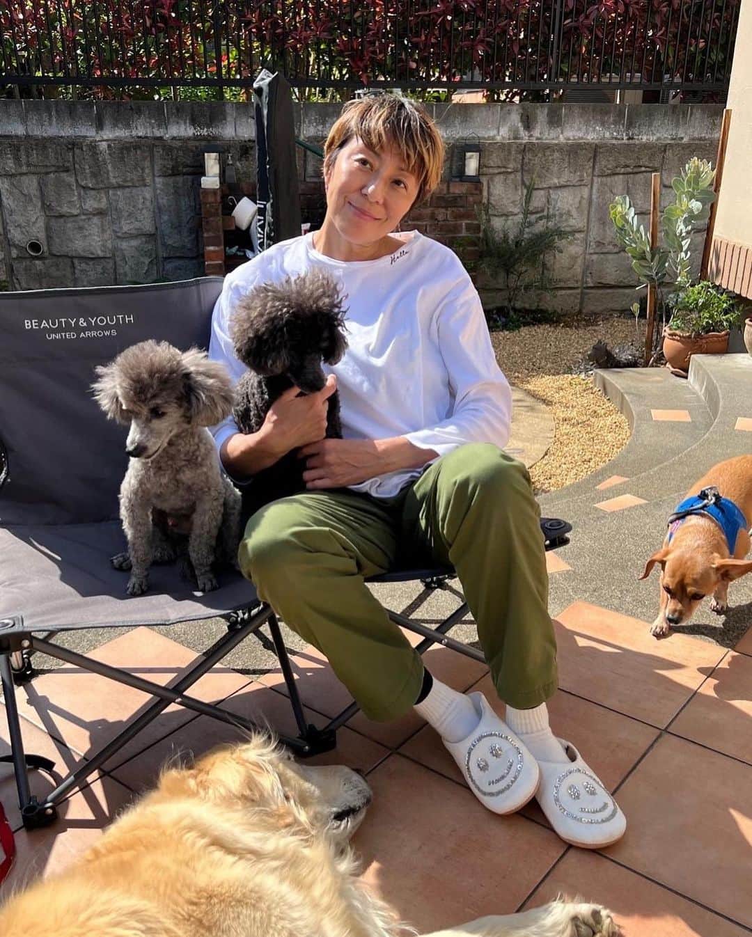 RIKACOさんのインスタグラム写真 - (RIKACOInstagram)「. Hello Sunday😘ご近所の犬友☺️ スカイとオッジー　可愛い❤️ お友達のお家でお茶と日向ぼっこ☺️和む〜 #犬友　#🐶　#❤️」4月10日 8時37分 - rikaco_official