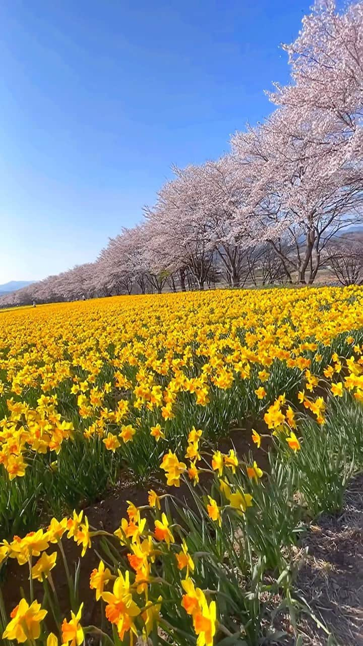 中村明花のインスタグラム