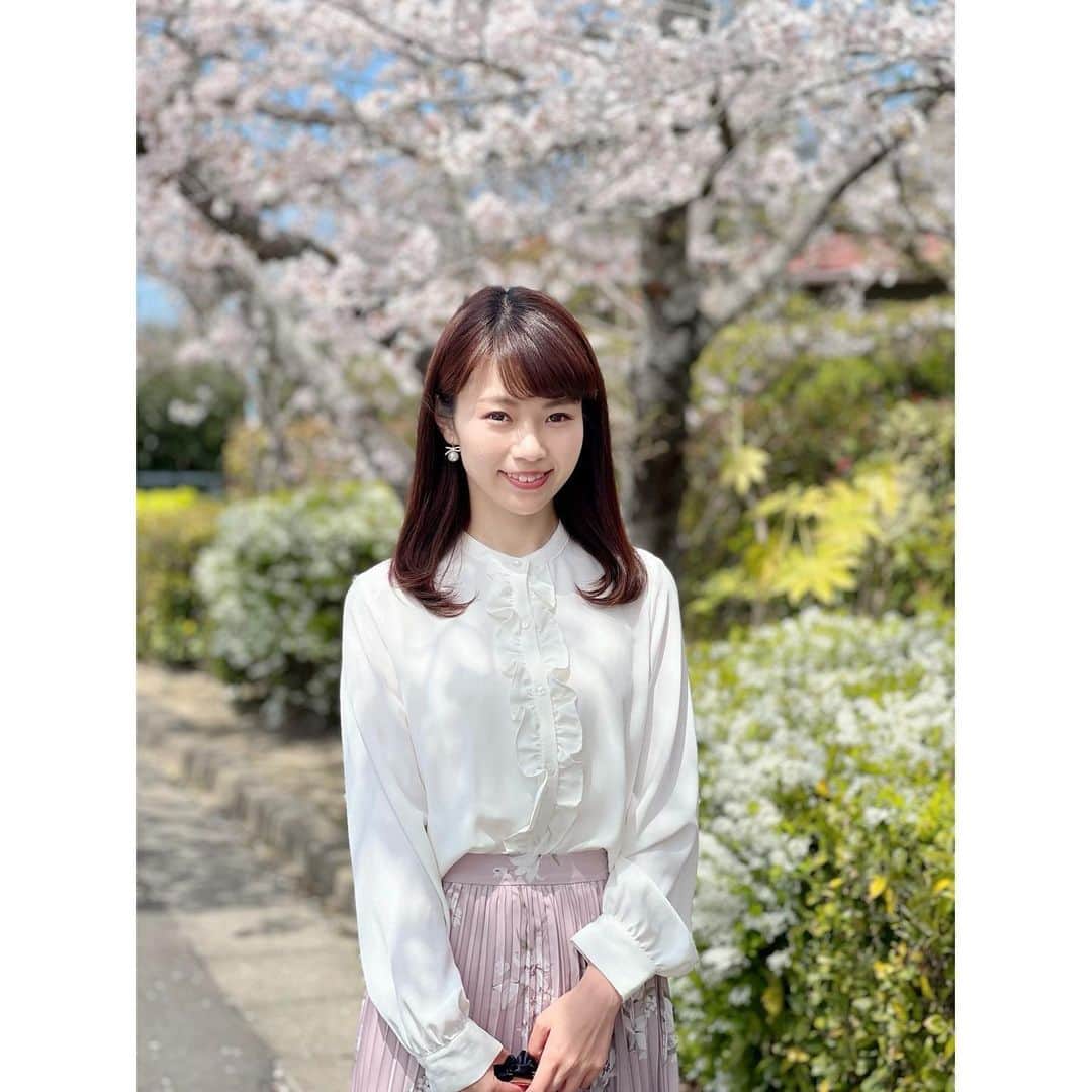 唐川美音のインスタグラム：「*  先日、お花見してきました☺️🌸 愛犬と一緒に🤍  #お花見 #キャバリアキングチャールズスパニエル #いぬのいる暮らし」