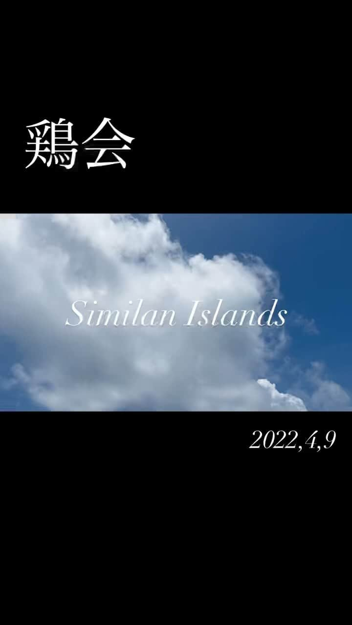 木村好志のインスタグラム：「鶏会in similan island🏝 仲間の卒業旅行にプーケットからシミランツアーへ！ 観光客激減から透明度倍増🌊」