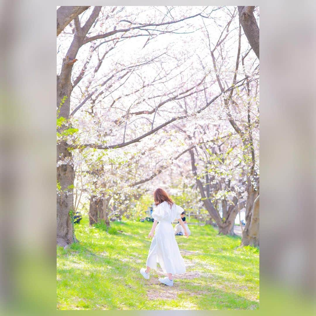 波多野結衣さんのインスタグラム写真 - (波多野結衣Instagram)「🌸🌸🌸 . . #桜 #sakura  #写真 #phote  #ポートレート #portrait  #波多野結衣 #波多野结衣」4月10日 16時10分 - hatachan524