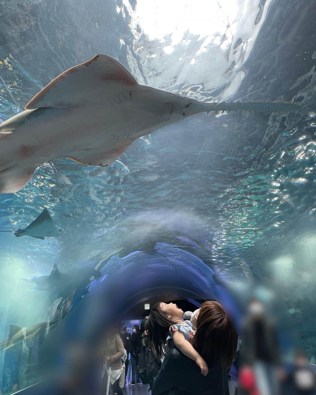 DJ YURiAさんのインスタグラム写真 - (DJ YURiAInstagram)「🐬🐬🐬  ぎゅーーーーー❤️  年パス持ってたけどもう切れちゃった🥺 この水族館とても好き🐠🐡🐟  立地、広さ、バリアフリー、子連れで行く上でのバランスが良くて、イルカショーの演出が楽しい❤️  #aquarium  #水族館 #子連れ #マクセルアクアパーク品川」4月10日 19時57分 - djyuria