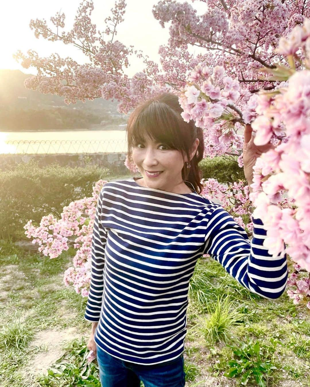 山田佳子さんのインスタグラム写真 - (山田佳子Instagram)「そろそろ見納め…🌸 他の桜は散ってしまったけれど、品種の違うこの桜は今が見頃☺️ ⁡ #そろそろ #桜 #見納め #この桜だけ #今が見頃 #楽しませてくれてありがとう #お散歩 #週末」4月10日 20時13分 - yoshiko117