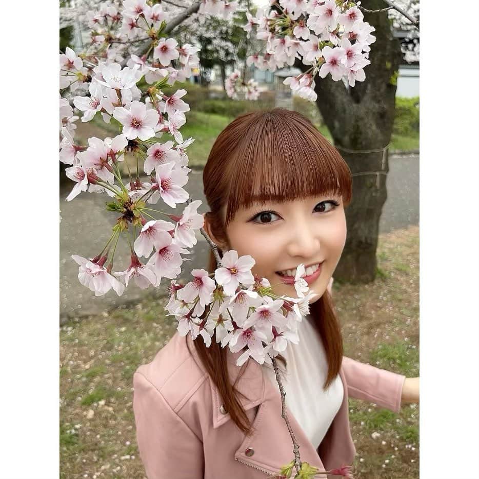 のインスタグラム：「🍓 23歳になりました。🌸 ・ ・ これからも何卒よろしくお願いします。 ・ ・ ・ #23 #my #birthday #桜 #お花見 #お誕生日 #お祝い #いいね #コメント #お願いします ♡ #美音咲月」