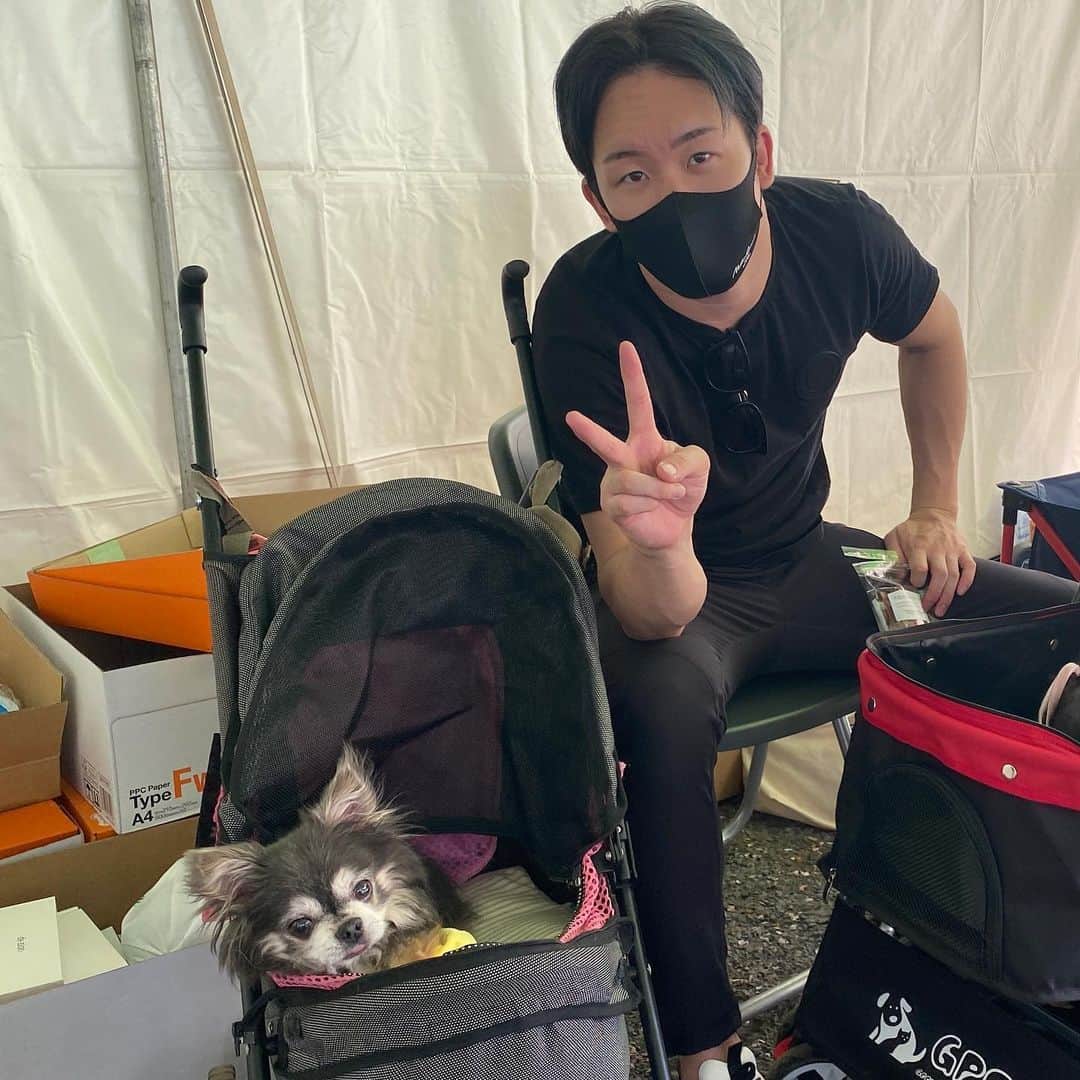 Yukiのインスタグラム：「幸内電器のワンバサダーのらっちゃん。 朝倉未来さんがブース来てくれたので念願のツーショット✌🏼🐶わーい！ #チワワ界の朝倉未来目指し隊 #右スティックパンチ#路上のチワワ#ただの野良やん」