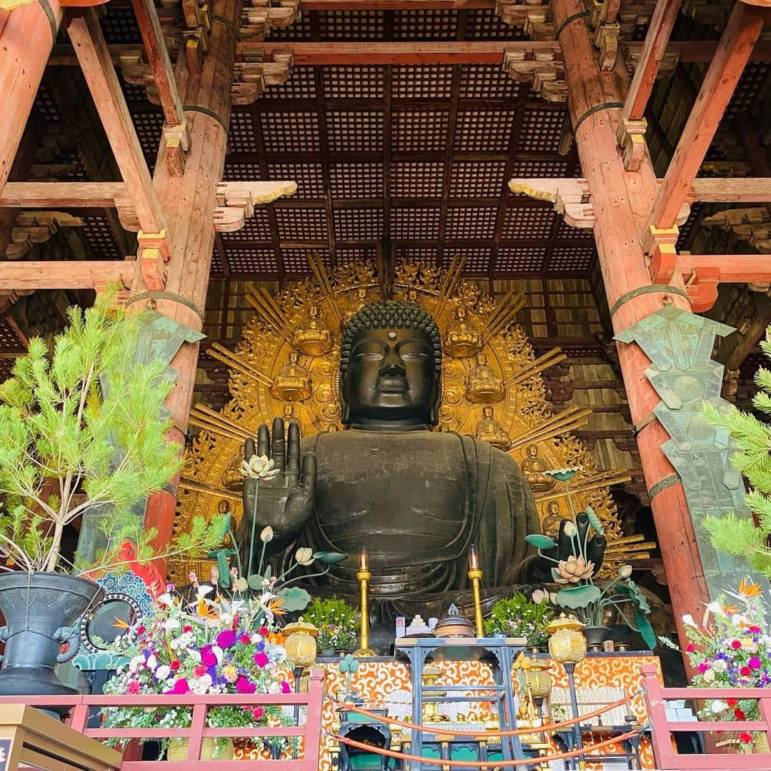 岩上愛美さんのインスタグラム写真 - (岩上愛美Instagram)「📍IN NARA 🍦🦌 鹿に狙われてる。  #narapark #todaiji #奈良公園 #東大寺」4月10日 22時53分 - amiiwakami