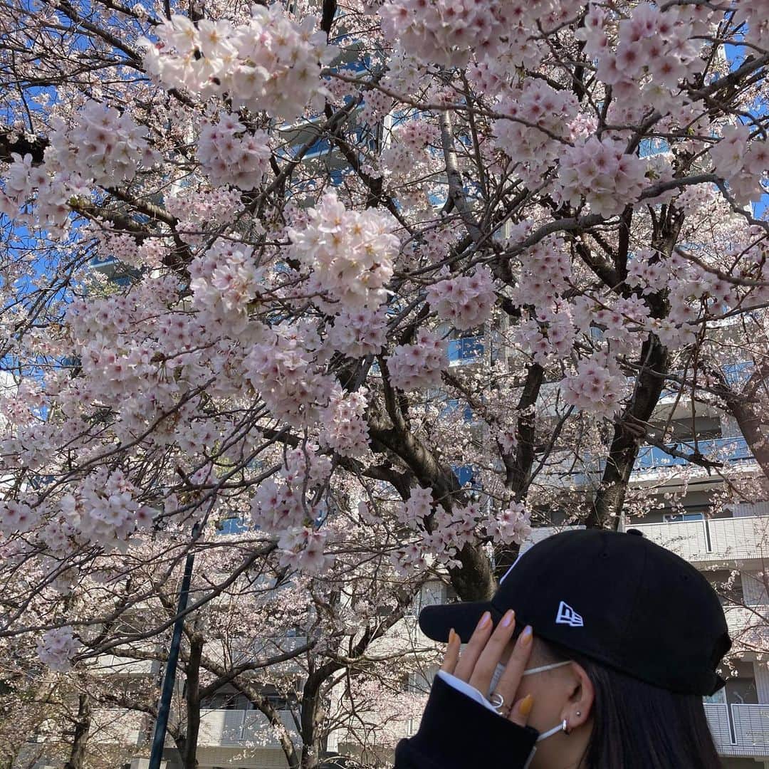 __96118のインスタグラム：「⁡ ⁡ 何億光年ぶりのお花見なんか良かった🌞 ゆったり過ごしてのどかってこうゆうことか〜〜 てしみじみ感じて自然堪能しましたにょにょにょ👵🏻 １枚はなんかへんてこショットあるのすき ⁡ ⁡」