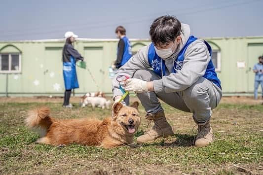 テウン さんのインスタグラム写真 - (テウン Instagram)「하리와 교감🐕💛#유기견#블루엔젤봉사단 #saveuschallenge #naturalbalance」4月11日 16時28分 - bkgo123