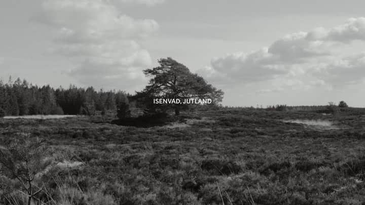 マッツノーガードのインスタグラム：「MADE IN DENMARK   The fine merino yarn for our striped Sailor knits is knitted and then sewn together in a small factory located in Isenvad, the heart of Jutland. Here, just a few hours from where the knit was designed, the knitting tradition is well kept with the passionate owners, Jesper and Sonny. They have acquired knitting machines to keep the processes of carefully creating a knit from A to B in one place and keeping it a local production.  We are proud to - once again - have joined forces with Sonny, Jesper and their team to create a knit that is made in Denmark」