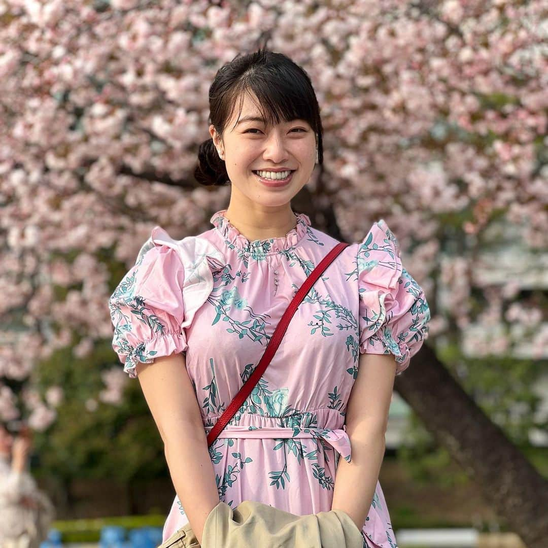 小田飛鳥のインスタグラム：「本日はお日柄も良く ☺︎ ☀︎ 母のお誕生日会をしてきました🌸 先日、私のお誕生日会をして頂いたところが本当に美味しくて素敵なお店だったのでそちらを選びました🍽 パレスホテルの前の八重桜が綺麗〜🌸近所の八重桜ももう少し…🌸 #三笠会館 #鉄板焼き大和 #🌸🌼 #八重桜」