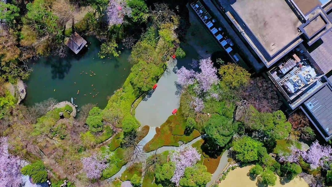 八芳園のインスタグラム