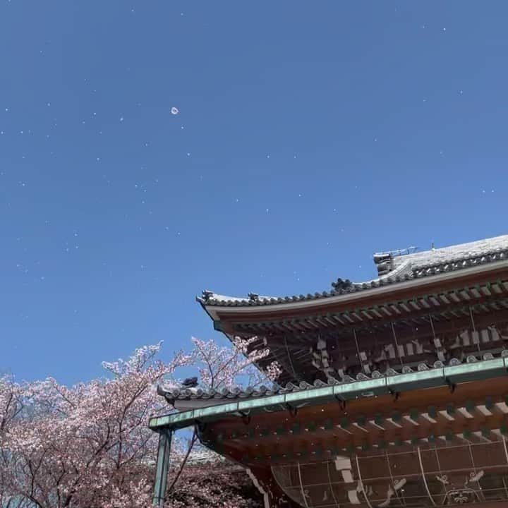 のインスタグラム：「． 平和で幸せ空間だった 毎週行きたい🥺」