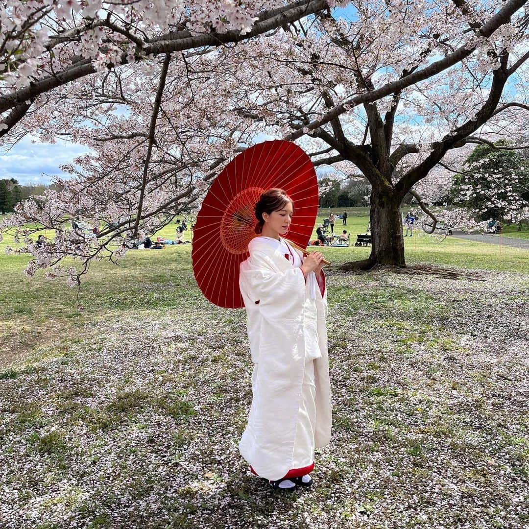 岩本知世のインスタグラム：「和装の撮影の時に桜と🌸🥰」