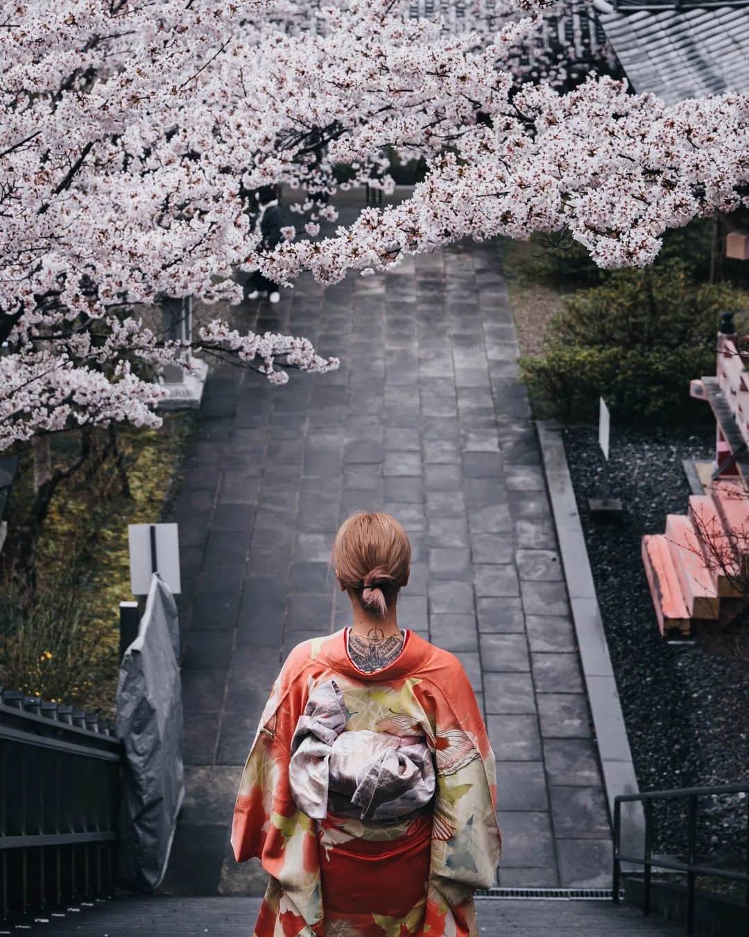 deepskyさんのインスタグラム写真 - (deepskyInstagram)「let me welcome everybody to wild wild west of Japan. Temple hopping in spring is totally amazing. Personally, I really like the combination of sakura and fog. Ive been photographing full-bloomed cheery blossoms lately . Cant wait to share ！ Stay turned ！ . 奈良の壺阪寺に馳せ参じて来ました。個人的にお気に入りの場所で、桜の時期は今年で４年連続です。自分は自然系の写真は、雨や霧などの、どちらかと言えば悪天候との組み合わせが好きです！ . . . #奈良 #桜 #壷坂寺 #Japan #sakura #nara #japandailies #japanko_official #hypebeast」4月12日 20時02分 - _deepsky