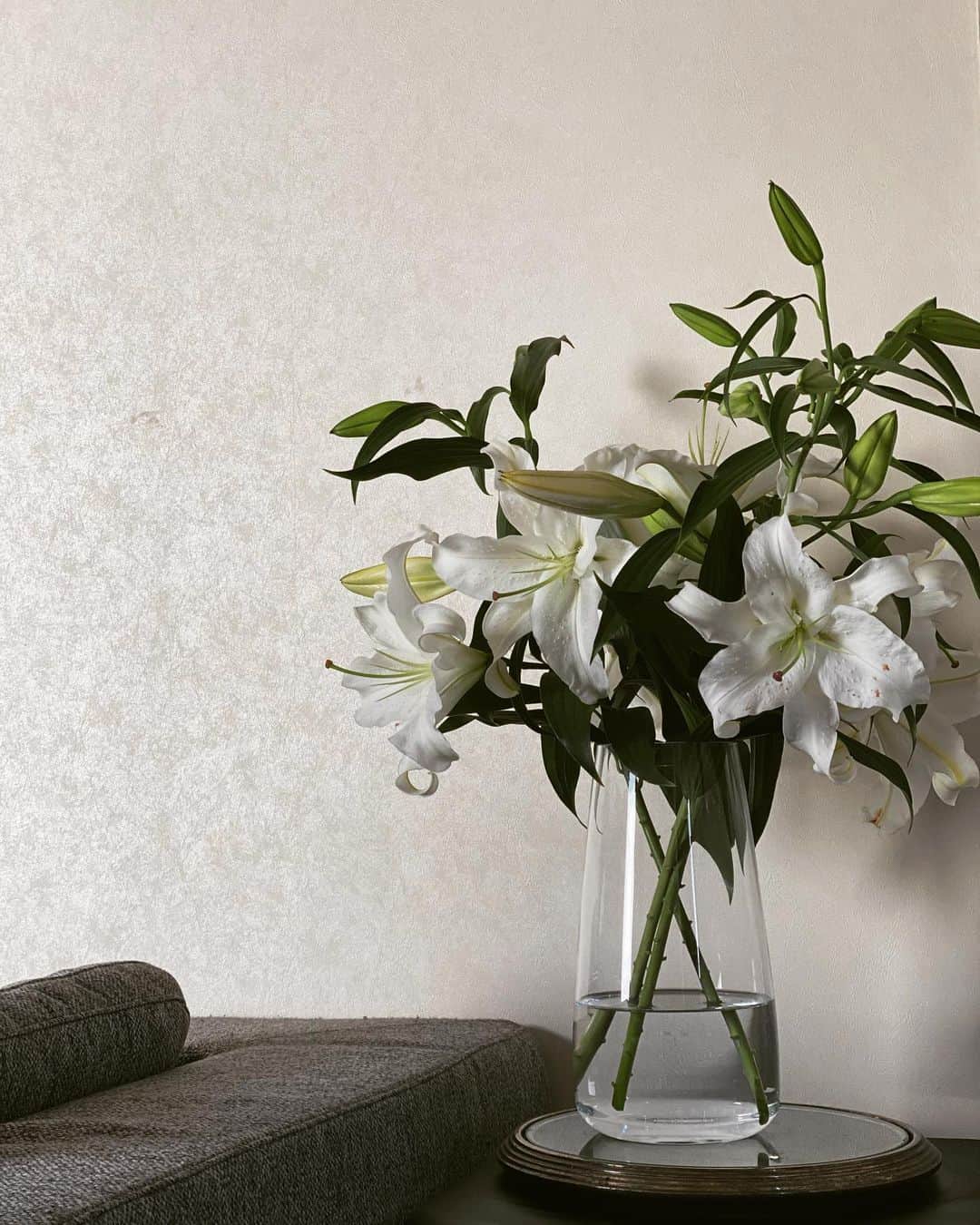 平宮博重さんのインスタグラム写真 - (平宮博重Instagram)「カサブランカの香りは心地良い時間をくれる。 #花のある暮らし#chillout #linelive #casablanca #flowers」4月12日 11時45分 - hiroshige_narimiya
