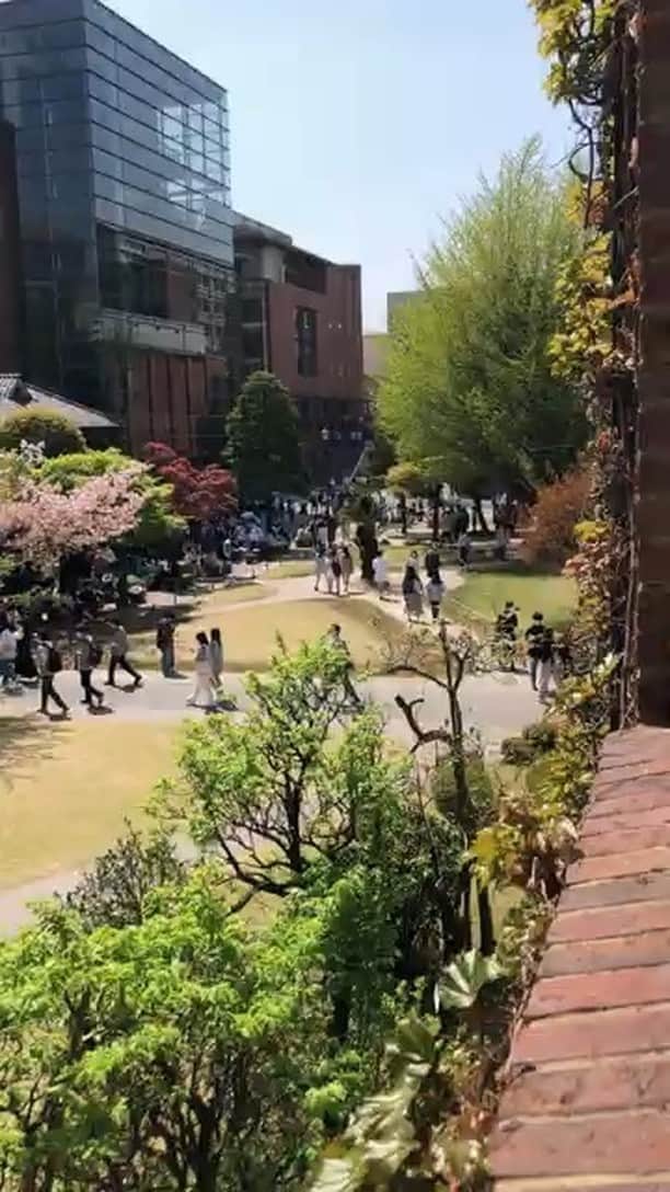 立教大学のインスタグラム：「授業が始まり、キャンパスに賑わいが戻ってきました！」