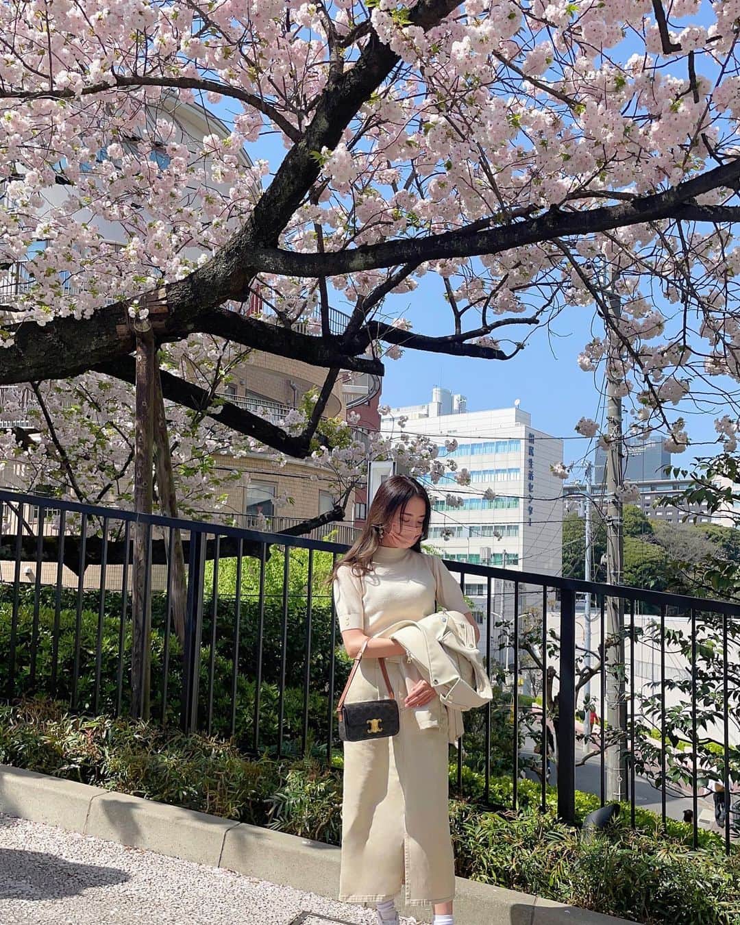 茶谷伊織のインスタグラム：「. 🌸  #桜 #さくら #お花見」