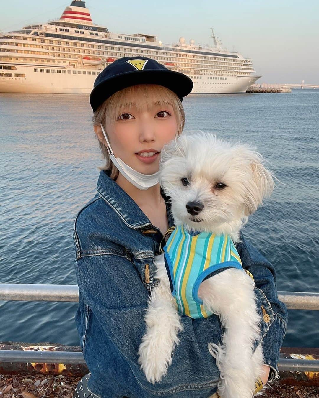 霜月めあさんのインスタグラム写真 - (霜月めあInstagram)「先週末はノブくんとたくさん遊んだ🐶 大事な我が子〜🥲💖これからもいろんなところ連れてってあげるからね👼 . . . #霜月めあ #めあめあ #dog #いぬすたぐらむ #まるちわ」4月12日 15時16分 - meameachan