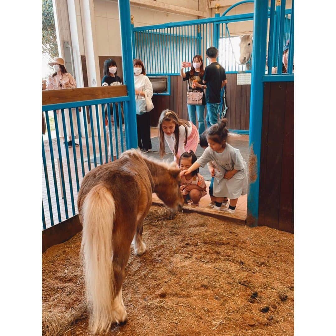 紗栄子のグルメインスタ