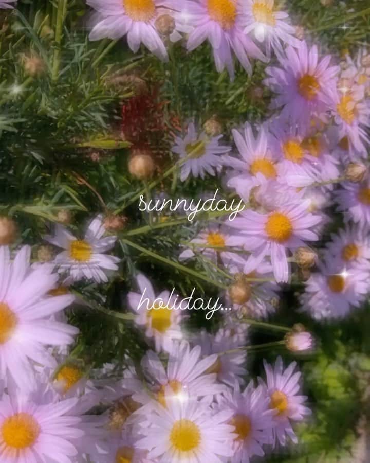 堀舞紀のインスタグラム：「🧠〜🐝 . . . . 私達のイキイキ🌞 とする季節がやってきました🙋🏽‍♀️ . . . っていう、 ご報告でした♡ . . . 暇さえあれば 外に出たい。 ウズウズ。 小学校一年生の帰宅時間が 早すぎてまだモヤモヤした 時間を過ごしていますが、 赤ちゃんいたって 週末は海！！！！ 😤 . . . 問題は真夏🤷🏽‍♀️〜 . . #湘南の夏 #週末の光景 #海沿いの暮らし #子育て記録 #SUMMER #🌼」