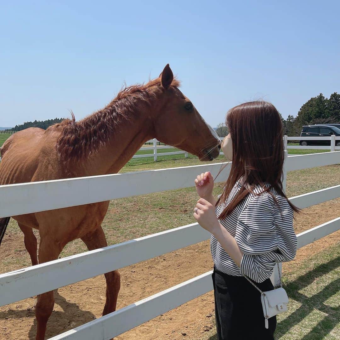ひよんのインスタグラム：「🐎❤️  家族でお墓参り行った帰りに😆！ 久しぶりに自然に囲まれてすっごく気持ちよかったし、 お馬さんも可愛かった😍🐴 乗りたかったな〜❣️  昔から大好きな紗栄子ちゃんにも会えて衝撃😳❤️ 可愛い❌100💓あこがれ！！  また行きたいな〜😆  #nasufarmvillage #ひよん #那須 #那須旅行」