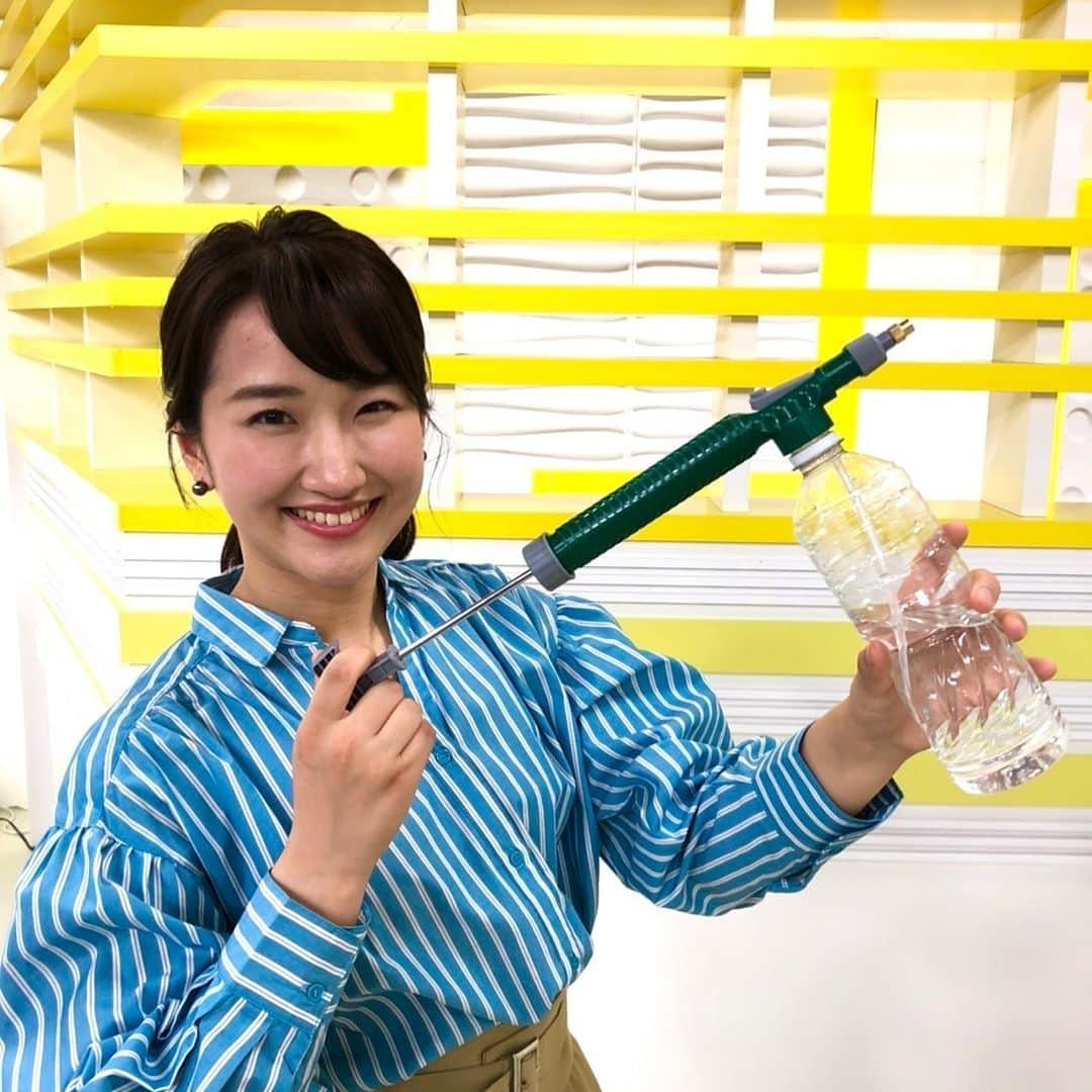 札幌テレビ「どさんこワイド朝」さんのインスタグラム写真 - (札幌テレビ「どさんこワイド朝」Instagram)「4月14日(木)のどさんこワイド朝は110円お掃除グッズ特集！  ジェット水流で窓の汚れも簡単に落とせる霧吹きや家の細かいところに手が届くお値打ち商品が登場します！  #どさんこワイド朝 #ダイソー #100均 #100円ショップ  #西尾優希 #掃除」4月13日 10時49分 - dosanko_asa