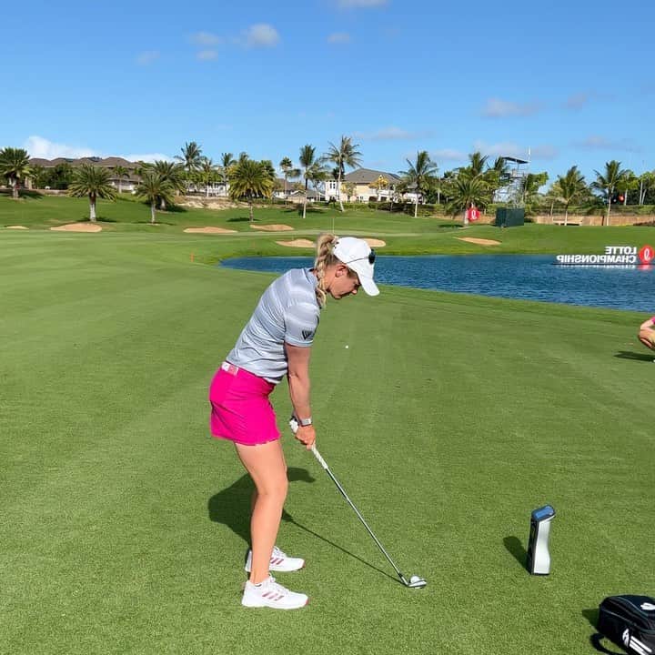 のインスタグラム：「Aloha @lottechampionship! 🌺」