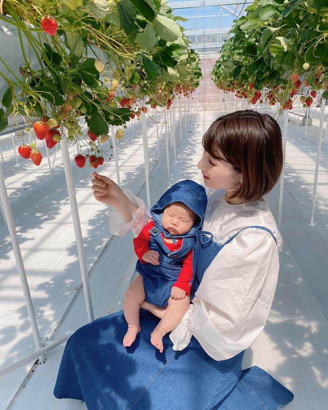 北川りなのインスタグラム：「. 息子といちご狩りデビュー🍓✨  長久手にある @smile_berry_nagakute に行ってきたよ！ ベビーカーでも行けるから助かる♪  2人でいちご狩りリンクコーデした👗💕  👶👕 @shein_japan  (クーポンコード:kitagawarina 6,000円以上20パーセントOFF) 👗 @popolabo_official   #いちご狩り#いちご狩りコーデ #いちご狩りデビュー#リンクコーデ#ベビママコーデ #親子コーデ#親子リンクコーデ#男の子ママ#男の子べビー #ママコーデ #ママスタグラム #ベビー服#赤ちゃん#赤ちゃんのいる生活 #baby#デニムコーデ #0歳#生後2ヶ月 #いちご」