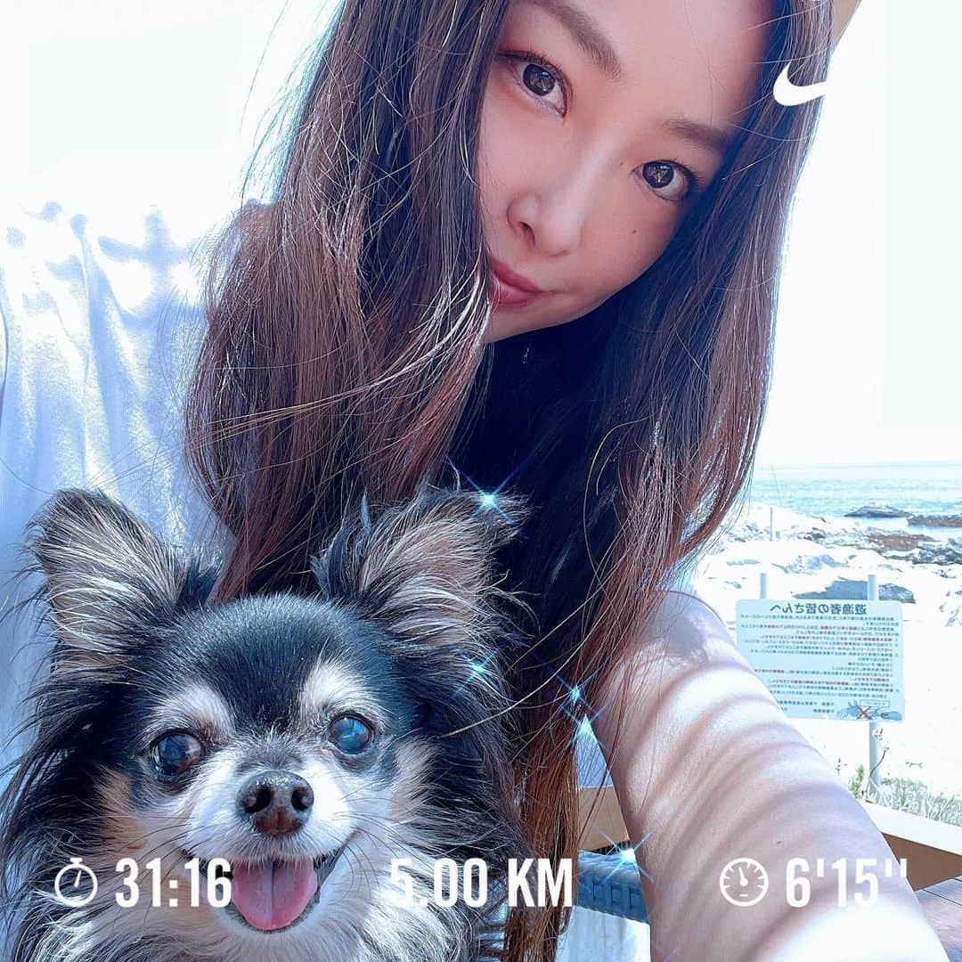 志摩夕里加のインスタグラム：「5キロRUN🏃‍♀️＋4キロちょっとウォーキング🚶‍♀️✨ 暑いー😵アプリがバグった😅  #nikerunning #nikerunclub #チワワ #Chihuahua #runninggirl #nikerunningwomen #ランニング #ランニング女子」