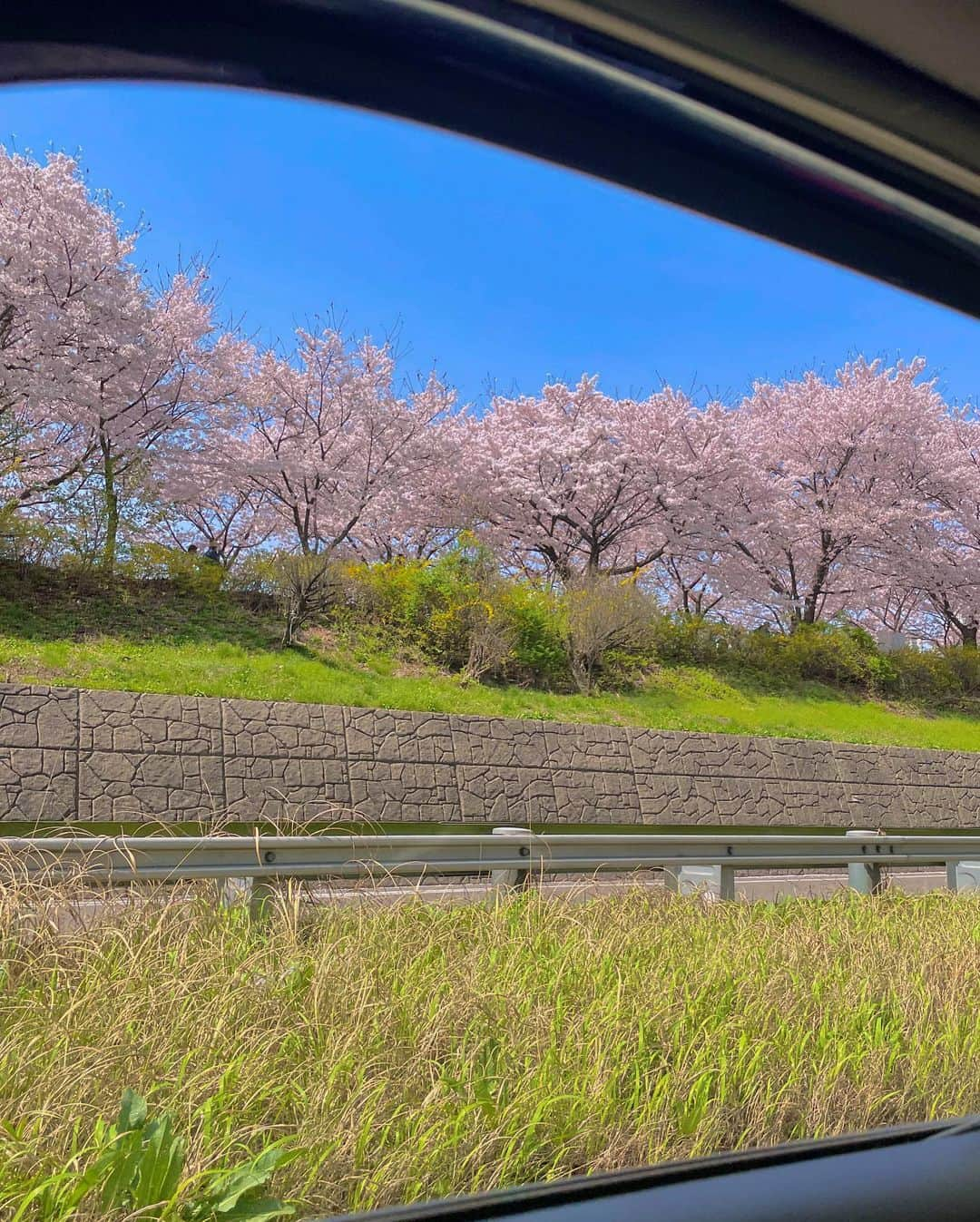 キム・チョンアさんのインスタグラム写真 - (キム・チョンアInstagram)「드라이브 좋더라🌸」4月13日 19時33分 - 94_j.a