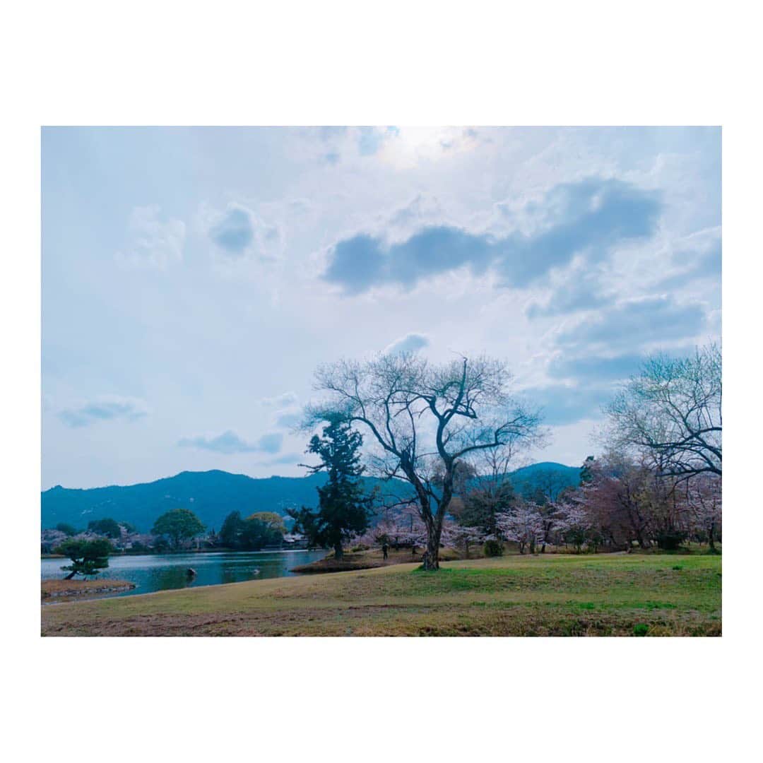 吉岡里帆さんのインスタグラム写真 - (吉岡里帆Instagram)「京都で撮っていた作品がひと段落。 ずっと景色や世界観が綺麗でした 明日は舞台挨拶で東京です。 夕方会えるの楽しみにしてます… 丸の内TOEI」4月13日 20時56分 - riho_yoshioka