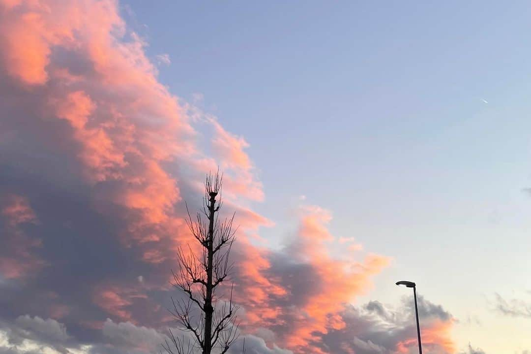 土屋光太朗のインスタグラム：「暖かくなってきた時期の夕方の散歩って気持ちいい。  散歩中は自分の考え方を整理したり、悩みに向き合ったり 自分にとってすごく大切な時間。  #マジックアワー」