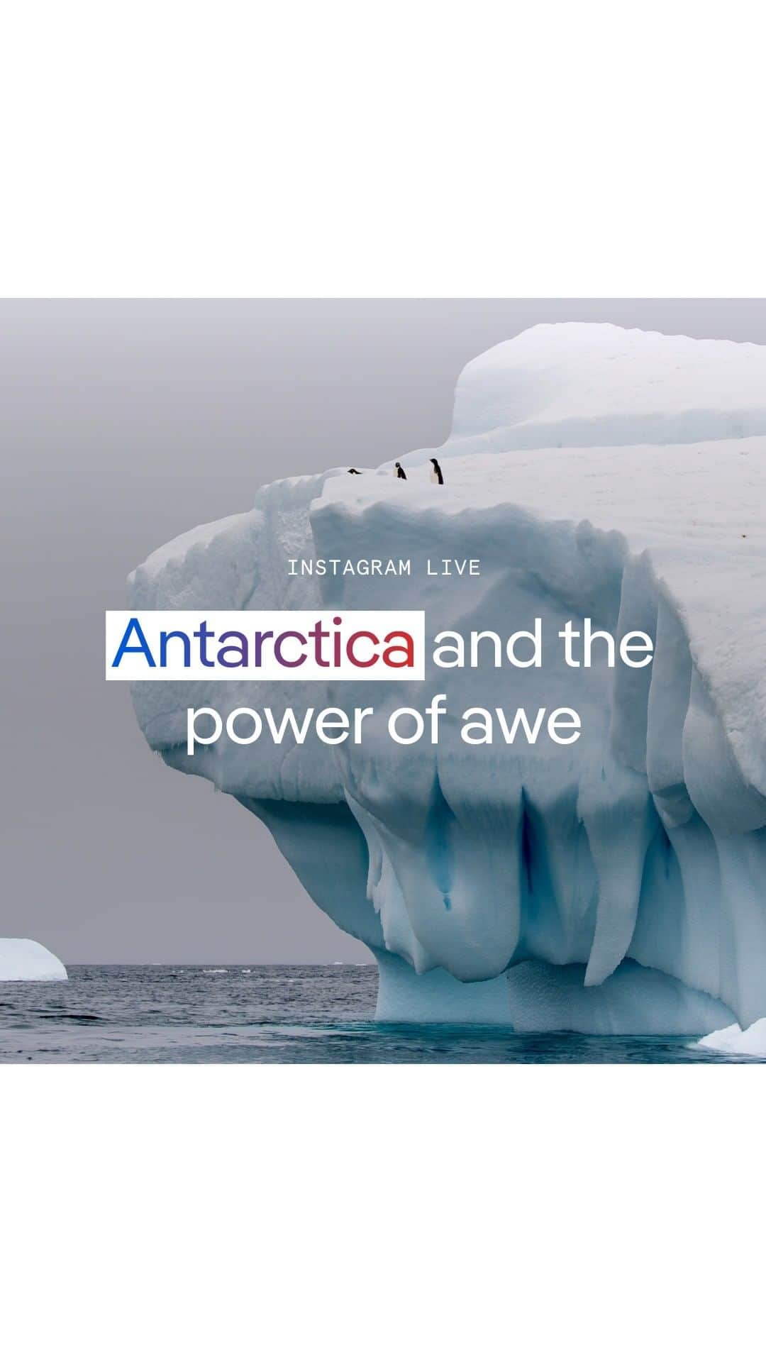 のインスタグラム：「Lonely Planet’s Brekke Fletcher speaks with editor-at-large @sebmodak about his 10-day trip to Antarctica.   He shares everything from the power of awe and his experience kayaking with whales and the adorable (but stinky) penguins to what to expect on a once-in-a-lifetime trip to the ultimate southern destination.」