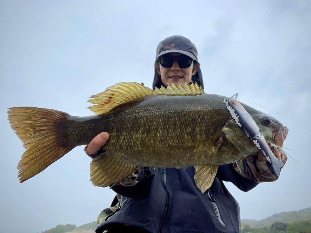 池上幸平さんのインスタグラム写真 - (池上幸平Instagram)「#スモールマウスバス #smallmouthbass  自己記録更新49cm 1740g 他に37cm、37.5cmを釣って10時に納竿。#タイガーカモ」4月14日 19時05分 - koheiikeue