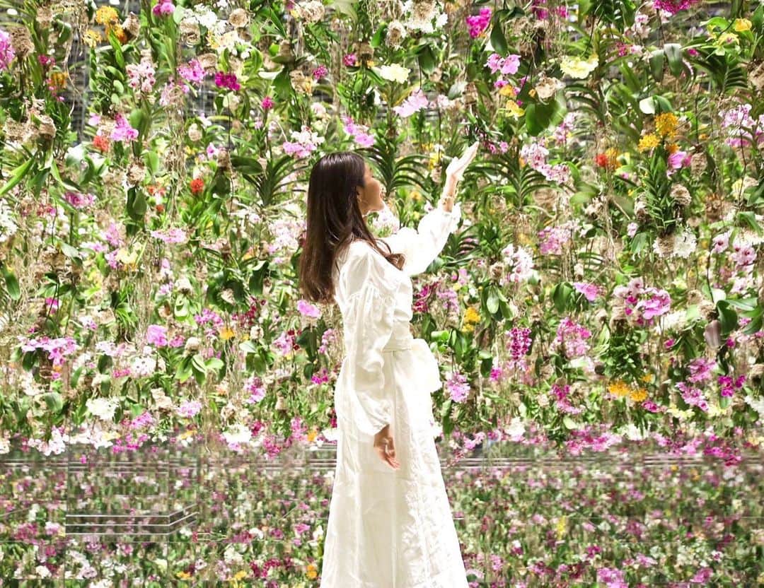 長谷川朋美のインスタグラム