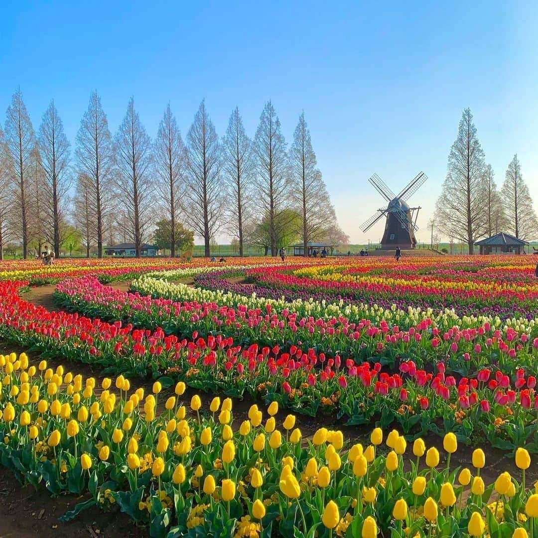 旅行メディア・じゃらん〈公式〉のグルメインスタ