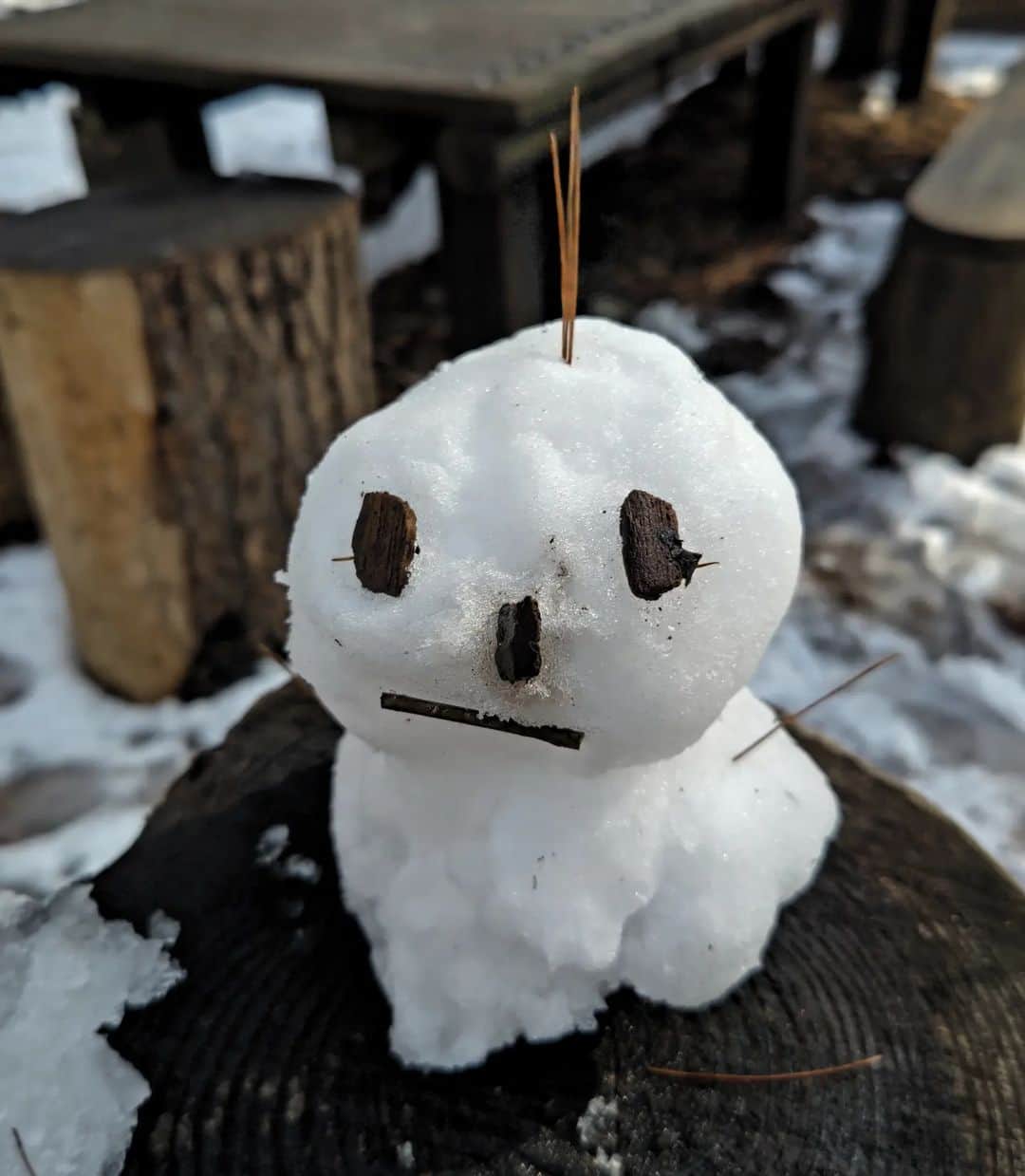 中田有紀さんのインスタグラム写真 - (中田有紀Instagram)「季節外れも甚だしいですが、春休みに作った雪だるまを…😅 #春休みの思い出 #まつげついてる #雪だるま」4月14日 12時53分 - akinakada0508