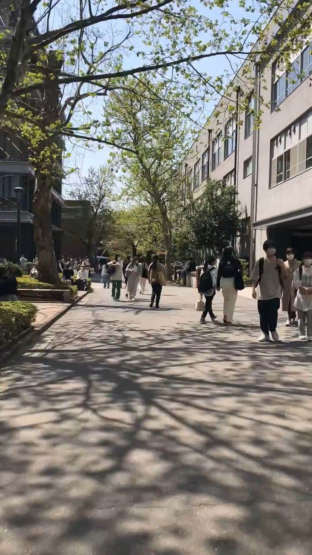 立教大学のインスタグラム