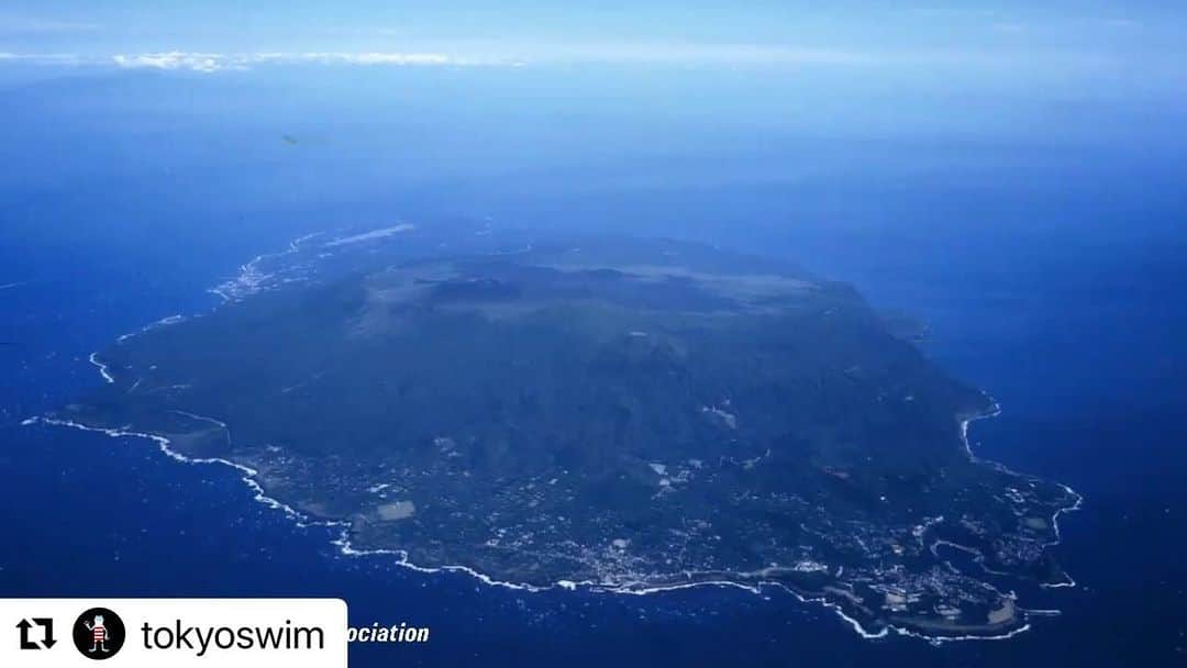 北島康介のインスタグラム：「@tokyoswim ・・・ TOKYO OPEN WATER SWIMMING 大島2022開催要項が公開されました！  今大会は5㎞競技だけでなくクリニック等のイベントもあります！ 奮ってご参加ください🌊  ※本大会は参加人数制限を設けております。詳細は要項にてご確認ください。 https://tokyo-swim.org/?p=15957  #openwaterswimming#ows#oceanswim#fromtokyototheworld #東京都大島#伊豆大島#東京都水泳協会 #東京都から世界へ #かわず」
