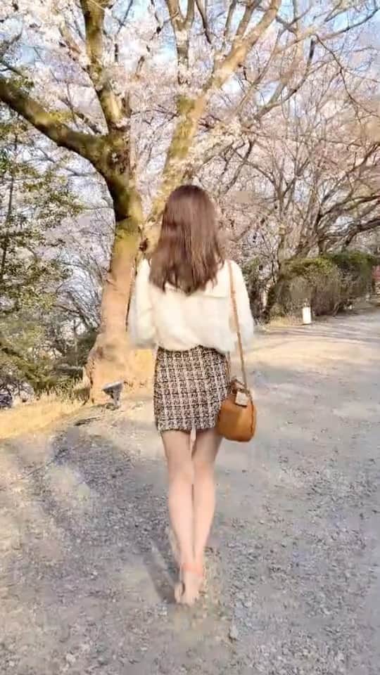 のインスタグラム：「🌸 今年のゴールデンウィークは何する🔅？  .  #滋賀#滋賀観光#滋賀旅行#三井寺 #関西モデル#モデルになりたい#モデルさんと繋がりたい#attrangs#attrangsjapan #アットランス#韓国服#韓国ファッション通販 #韓国ファッションコーデ #韓国服通販 #高身長女子#高身長コーデ #高身長女子コーデ #ミニスカート#ツイードスカート#ツイード#ミニスカ#ブラウスコーデ #美脚#生足#素足#脚長#脚#legslegslegs #legsfetish #modelstyle」