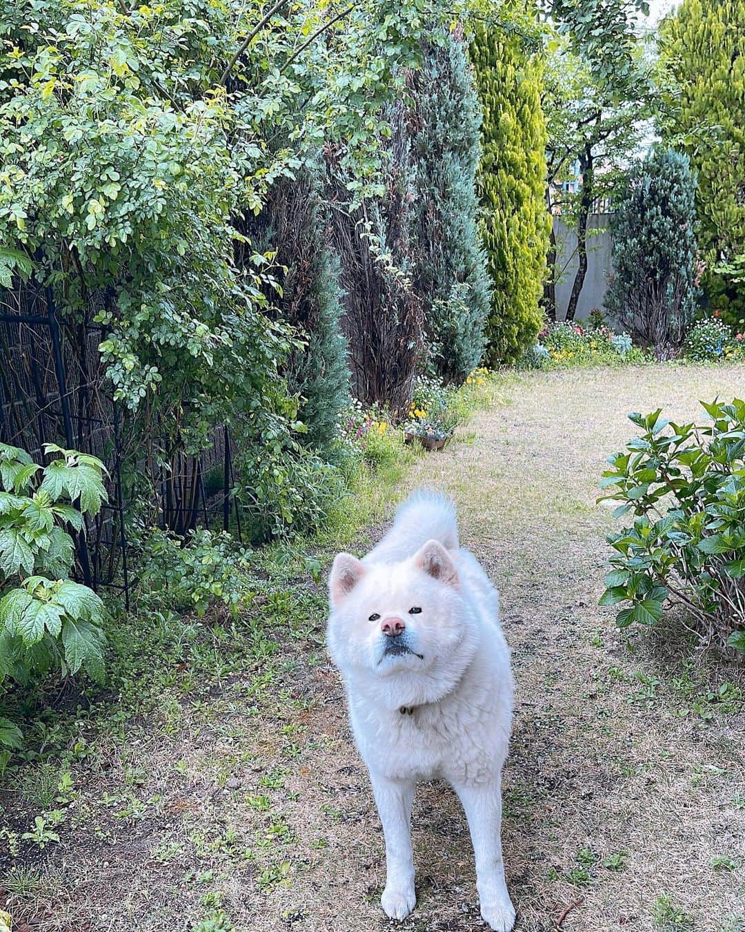 水谷雅子のインスタグラム