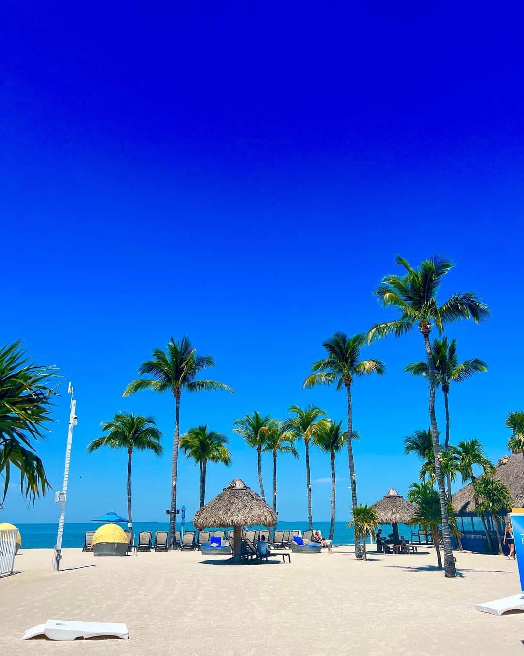 タイラー・ピアースさんのインスタグラム写真 - (タイラー・ピアースInstagram)「I now know what they mean by the sunshine state☀️ There was also an iguana and he was everything. 😍 . . #thesunshinestate #floridakeys #summervibes #paradise #beachday」4月15日 8時10分 - tyler___pierce