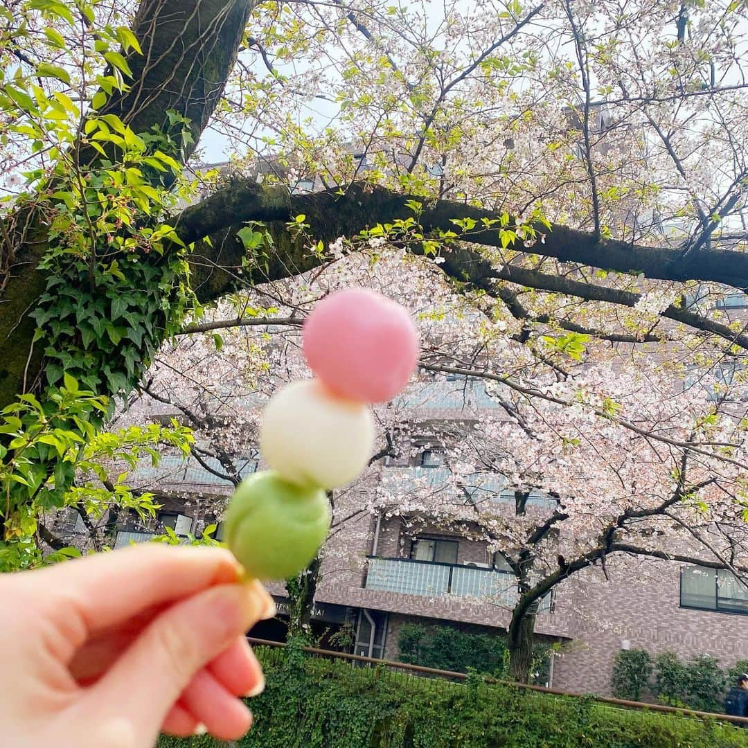 新谷姫加さんのインスタグラム写真 - (新谷姫加Instagram)「春終わっちゃうねえ🍡」4月15日 9時30分 - hime._.gram