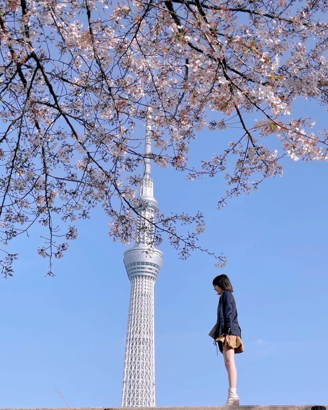 椎木里佳のインスタグラム：「さまざまなこと思ひ出す桜かな」
