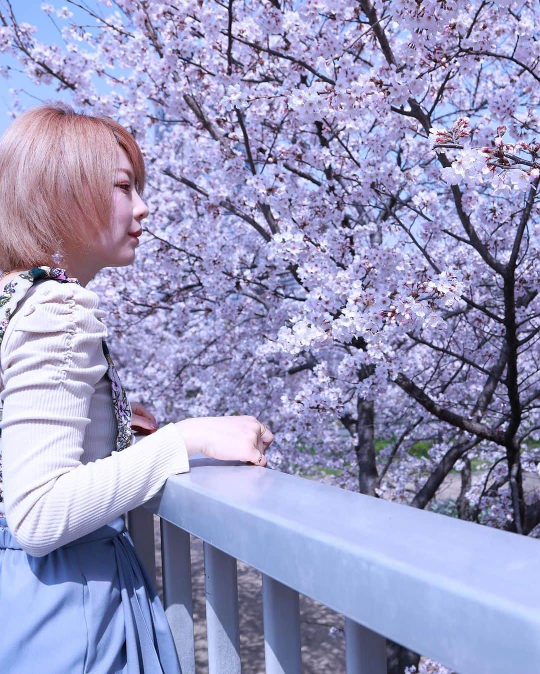 あやつるぽんさんのインスタグラム写真 - (あやつるぽんInstagram)「桜儚く散ったなあ . . . 短い期間やったけど 美しかった . . #cherryblossom #ファインダー越しの私の世界 #桜　#桜通り #桜並木 #撮影 #金髪ショート #ショートヘア #金髪女子 #金髪ギャル #ギャル　#ショートカット　#ショートカット女子 #ショートカットアレンジ #巻き髪 #巻き髪ショート #マッシュショート #マッシュ女子 #マッシュ #金髪マッシュ #ボーイズライク #メンズライク女子 #メンズライク」4月15日 22時51分 - ayatsurupon