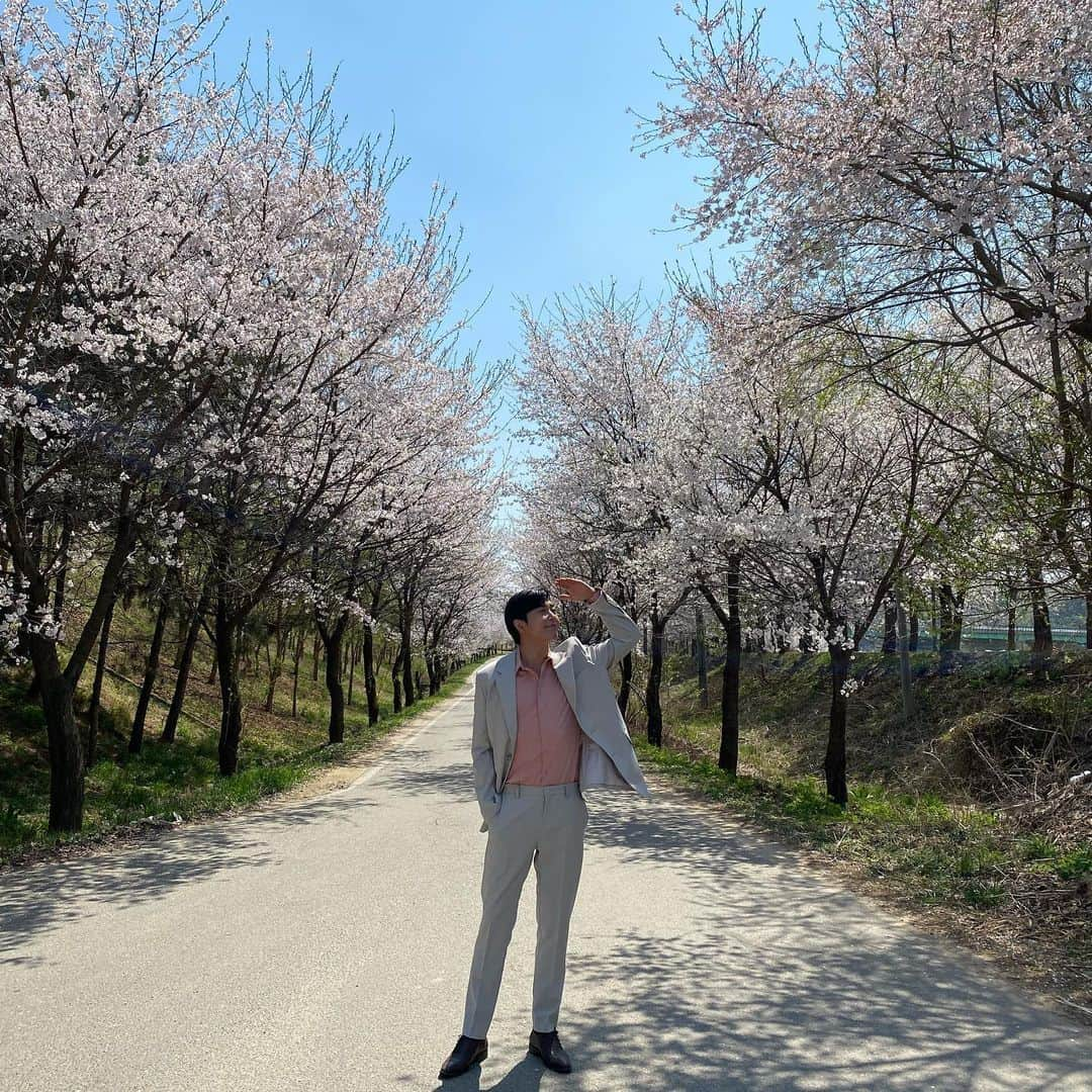 キム・ジェウクさんのインスタグラム写真 - (キム・ジェウクInstagram)「🌸」4月15日 14時35分 - jaeuck.kim