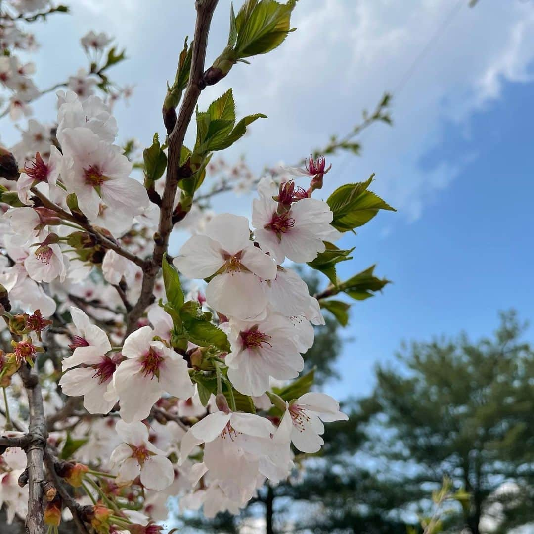 JUNさんのインスタグラム写真 - (JUNInstagram)「Darling you Darling you baby~🎵」4月15日 17時42分 - junhui_moon