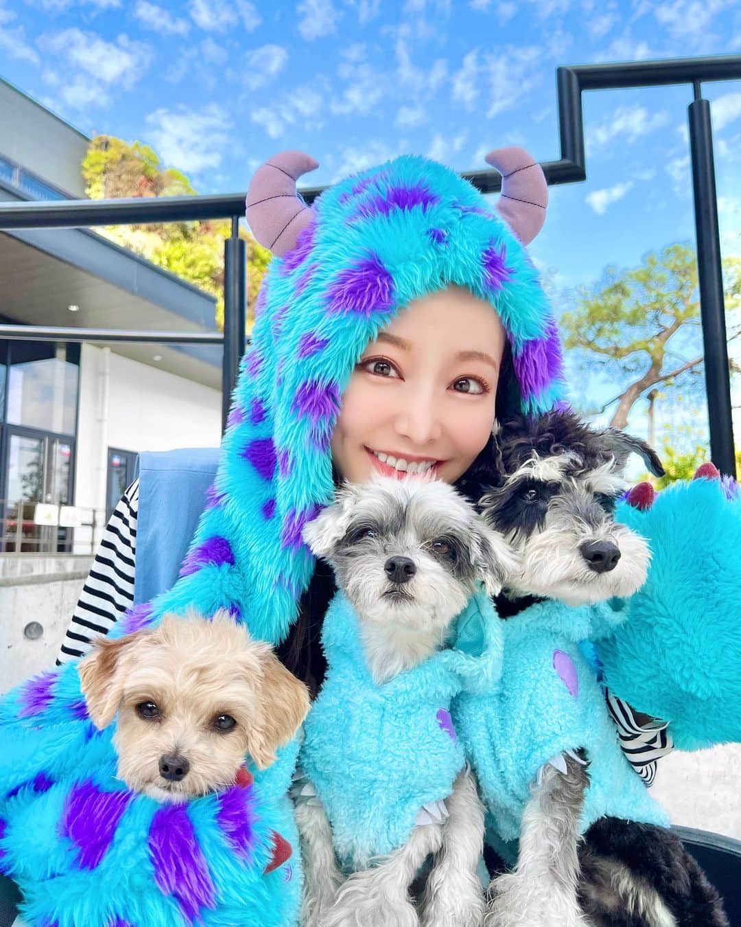 のインスタグラム：「⁡ ⁡ ⁡  大阪上陸 最高の天気🤩✌️ ⁡ ⁡ ⁡ ⁡ ⁡ Blue setup @aclent_official  Coordinate @takedashizuka.v  ⁡ #大阪#大阪城#OSAKA #サリー#ジェームズPサリバン#モンスターズインク #disney#ディズニー#お揃い#犬との生活#旅行#trip #大阪城公園#森ノ宮」