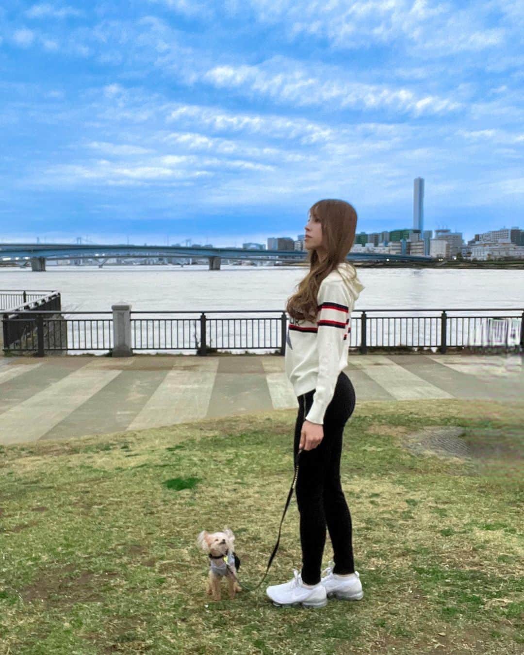 大迫麗香のインスタグラム：「アリス🐶 @alice.teacuppoodle とふらっとお散歩した時のお写真✨ 今日も入院中のアリスのお見舞いに行ってきました✨ 徐々に回復しているみたいです🥺 過保護になりすぎてたのかも？と心配ですが、残りの人生、精一杯愛してあげたい。  #ベストボディ #プライベートジム  #美ボディ #トレーニングウェア #美ボディコンテスト #ベストボディジャパン  #腹筋女子 #bikinifitness  #コンテスト  #美ボディ #恵比寿ジム #子連れok #産後トレーニング #ブーティビルダー #子連れフィットネス #食事管理  #ベストボディへの道 #ボディメイク女子 #犬　#闘病中 #ティーカッププードル」