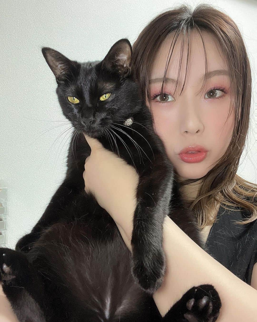 青木りんのインスタグラム：「🐈‍⬛  人間をきれいにみせるためのライトにより 猫さまの目が細くなります😹  もふもふつるつるふっわふわ🖤❤️   #黒猫   #クロネコ  #japanesegirl   #rin_aoki」